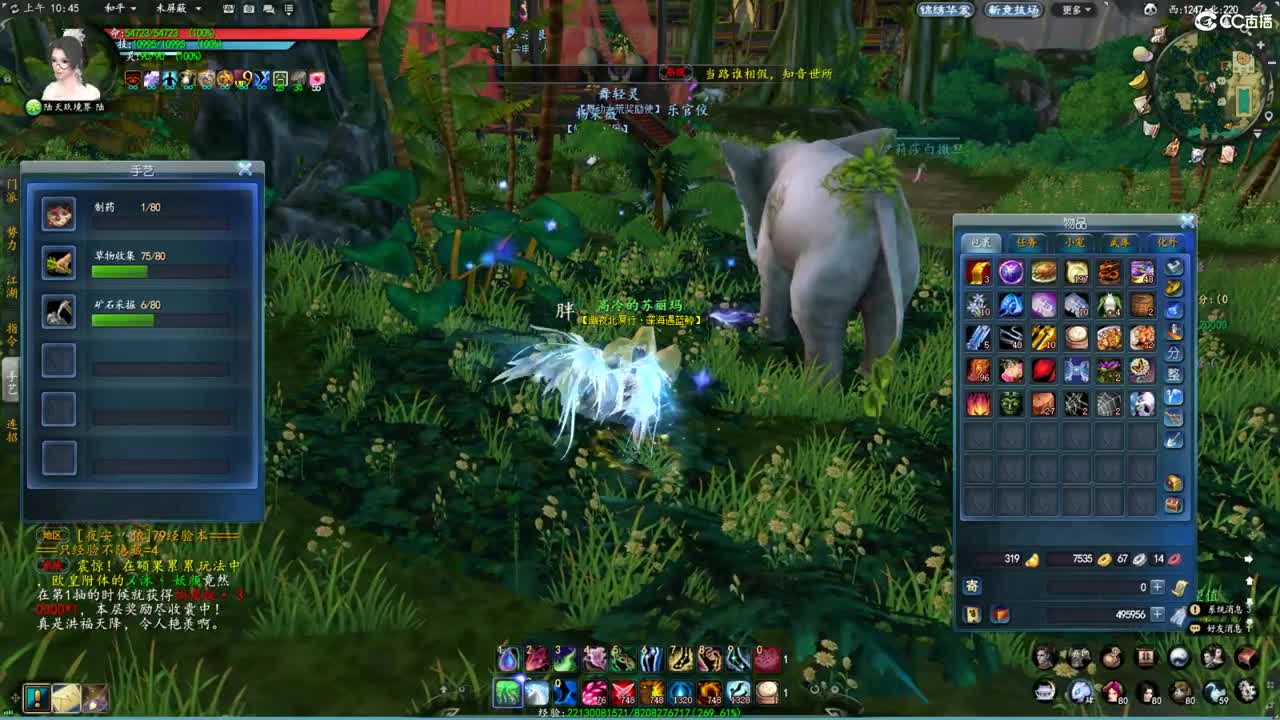 玩天下3的第三天 第2段