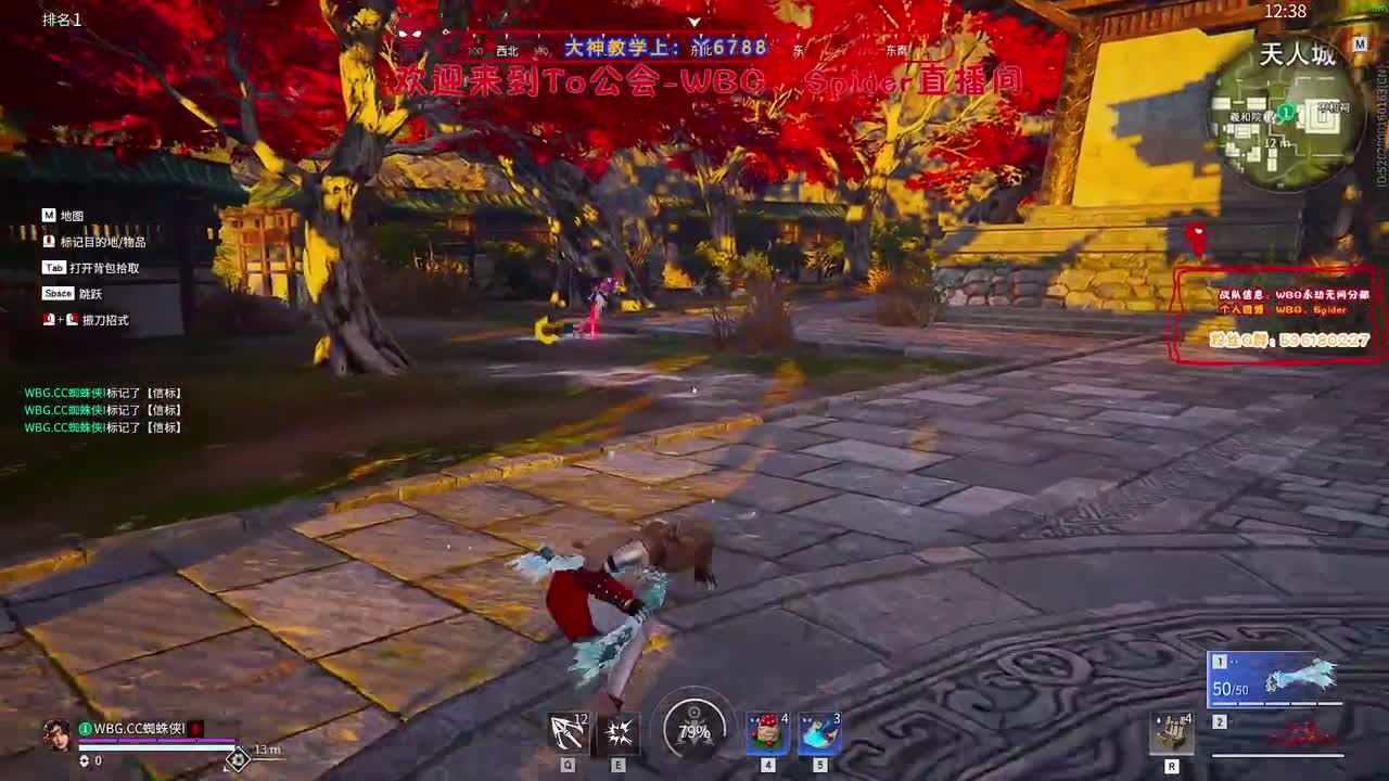 亚洲挑战赛OB 第9段