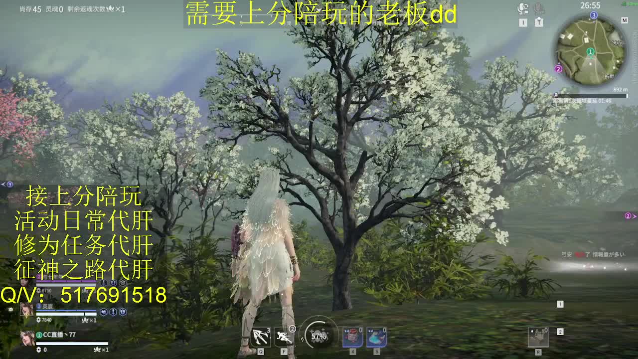 接陪,上分,修行日常各种 第2段