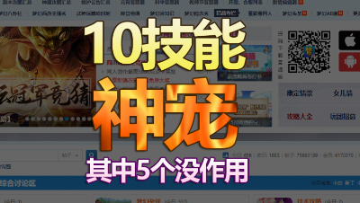 玩家展示10技能神宠，其中5个没作用
