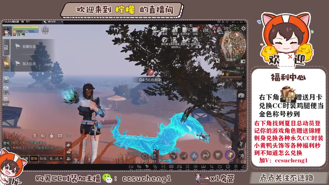 特价CC时装进来了解一下 第2段