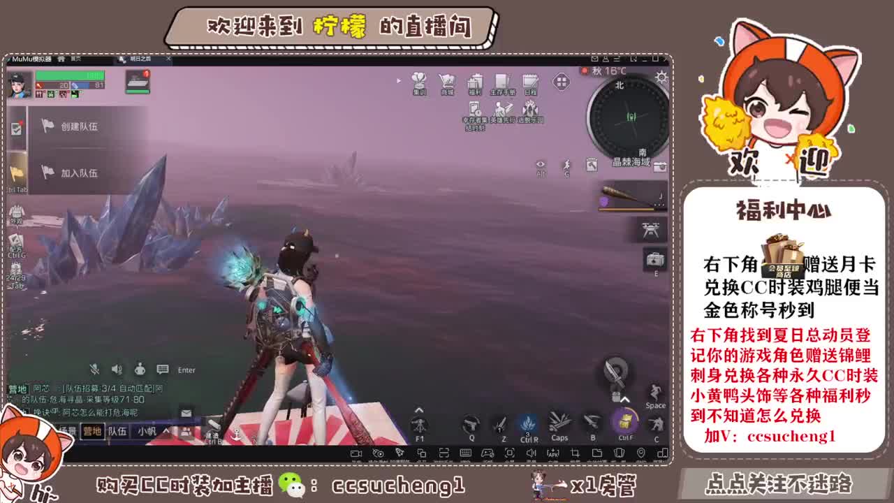 特价CC时装进来了解一下 第5段