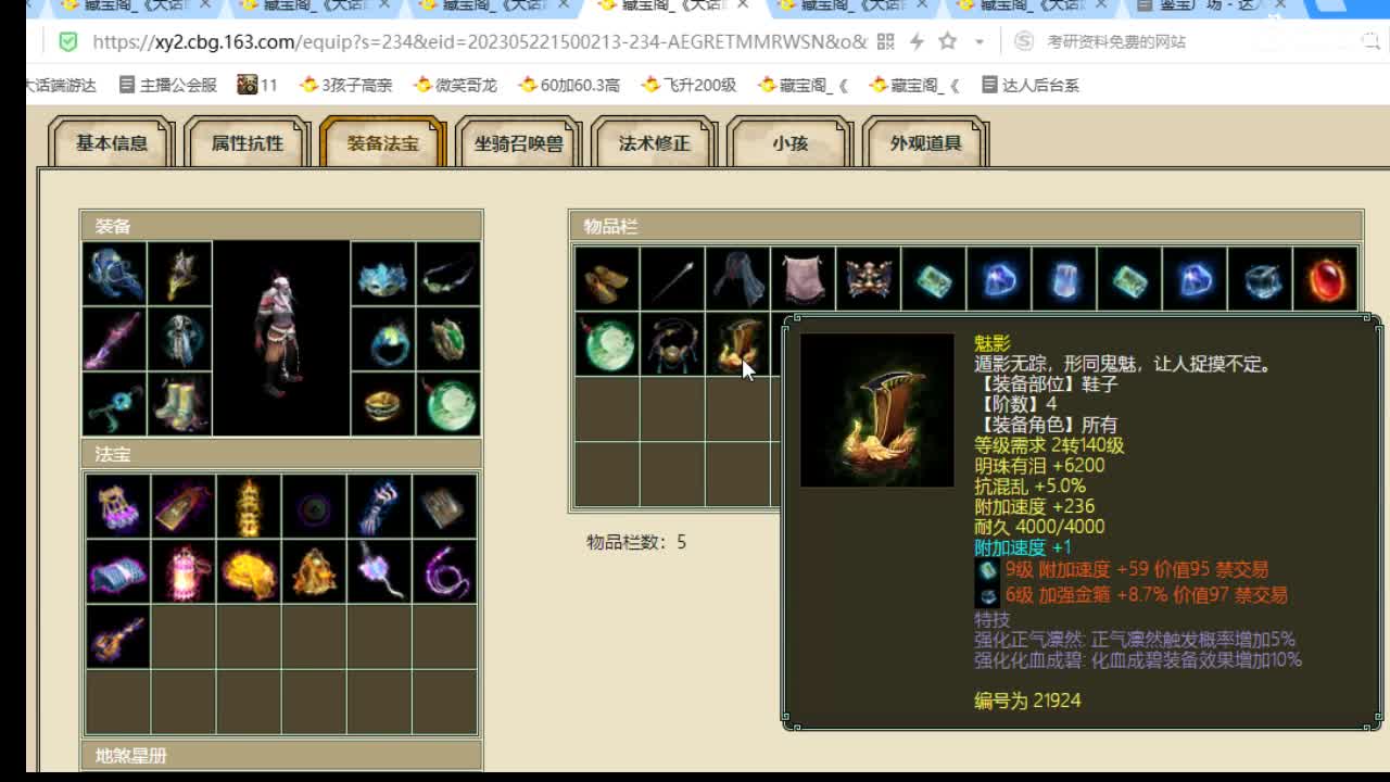 估价配装细心专业的主播 第5段