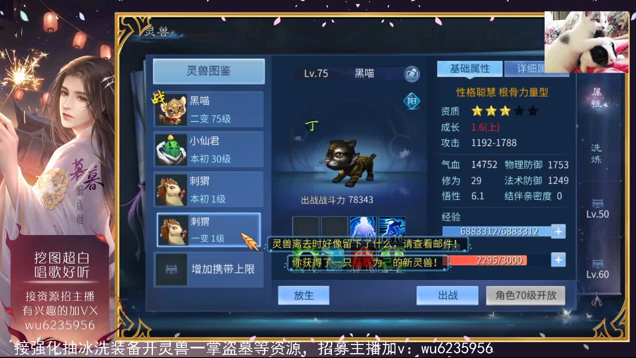 晚上好，资源超白~ 第1段