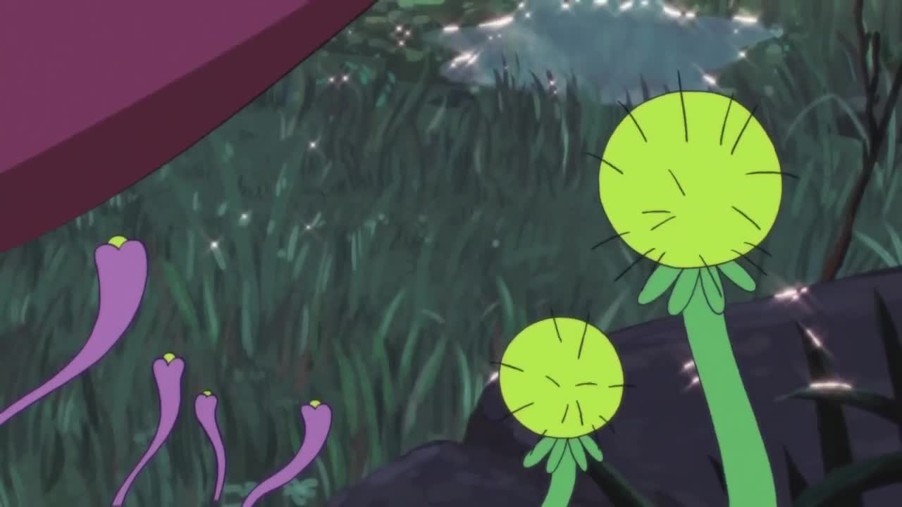 2018和2023唱歌的勇武菜猪 第13段