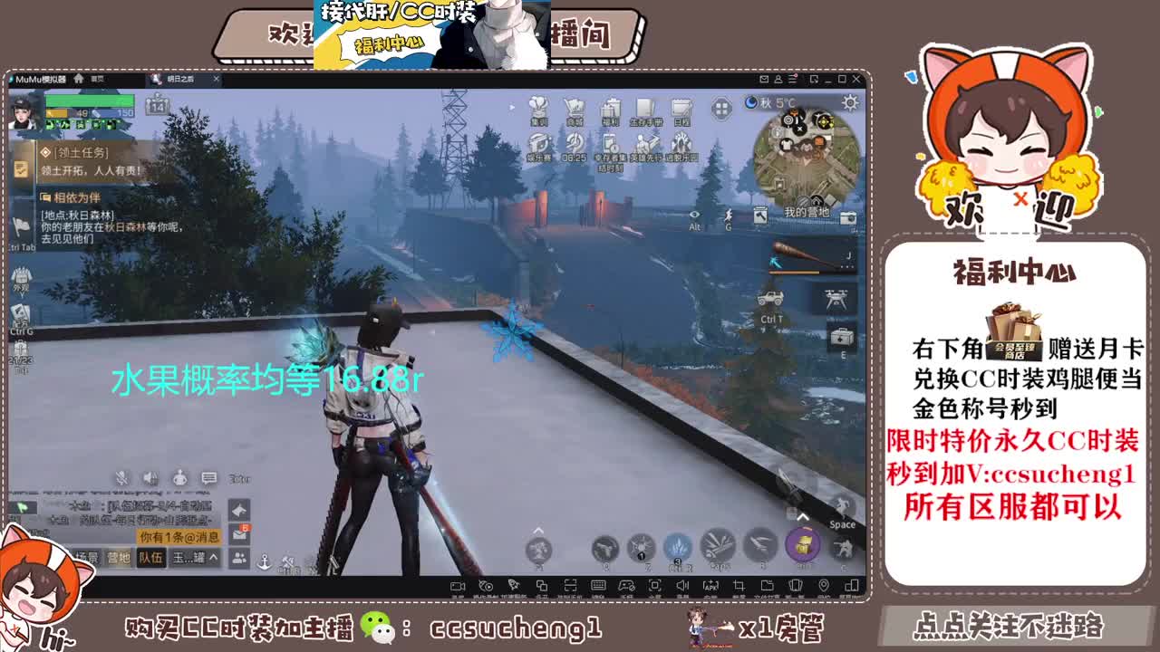 永久金c 蓝c 白c特价秒到 第2段