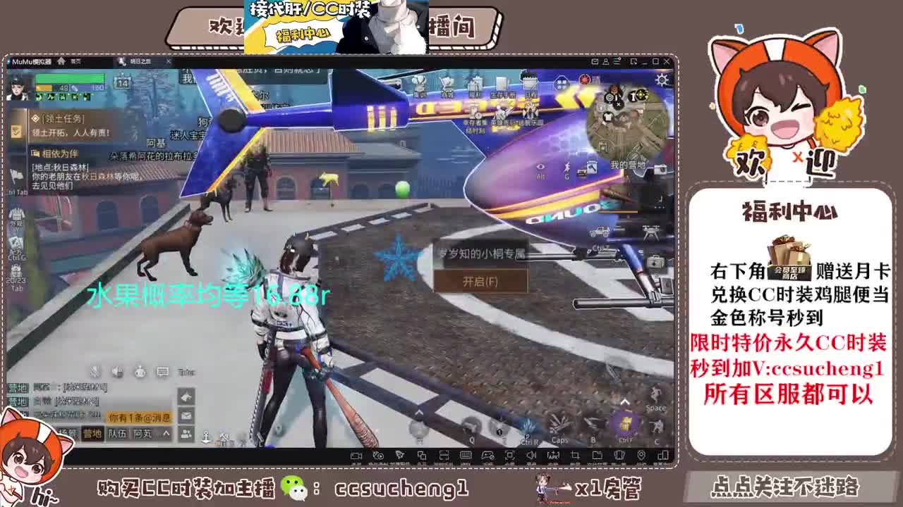 永久金c 蓝c 白c特价秒到 第4段