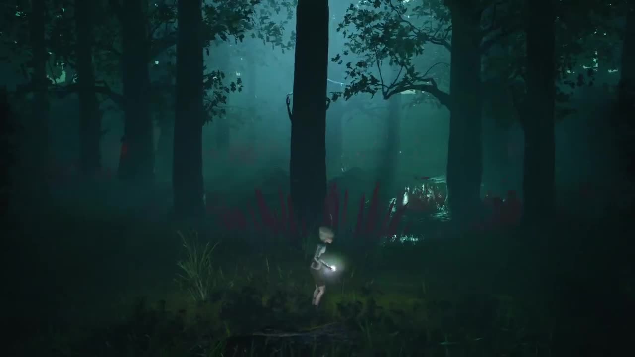 是少年音 也是褪黑素 第11段