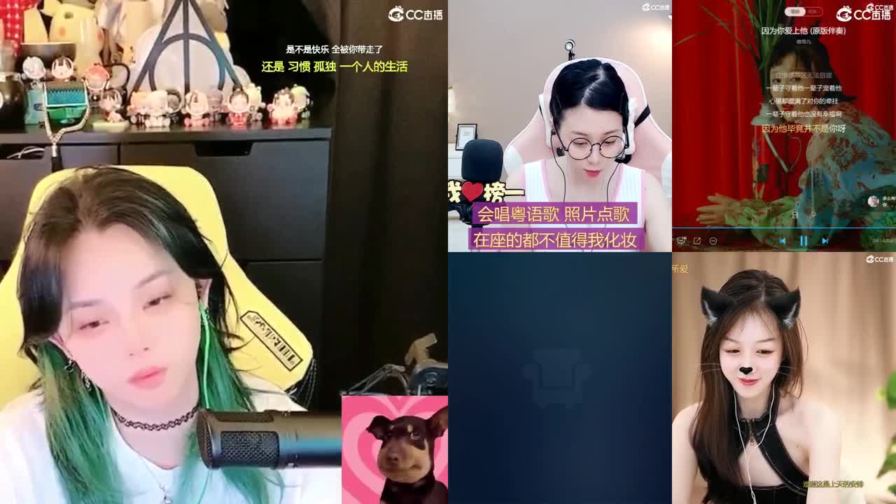 2018和2023唱歌的勇武菜猪 第2段