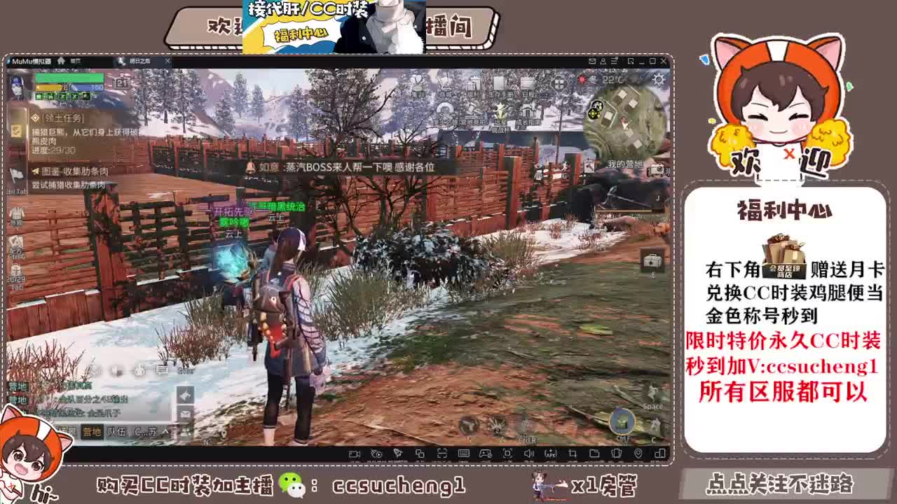 永久金c 蓝c 白c特价秒到 第4段