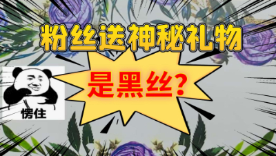 梦幻西游：粉丝送我的神秘礼物，难道是嘿丝？