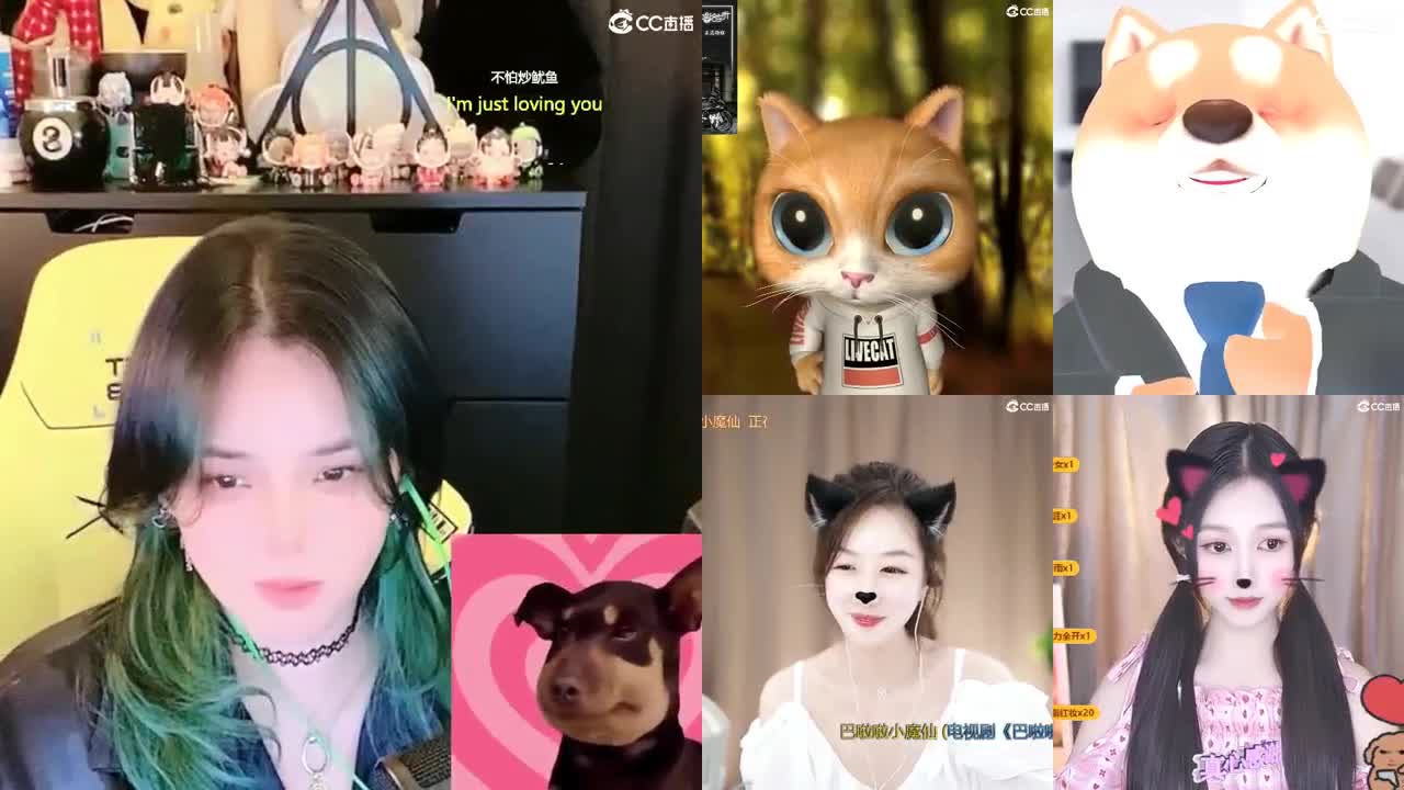 2018和2023唱歌的勇武菜猪 第3段