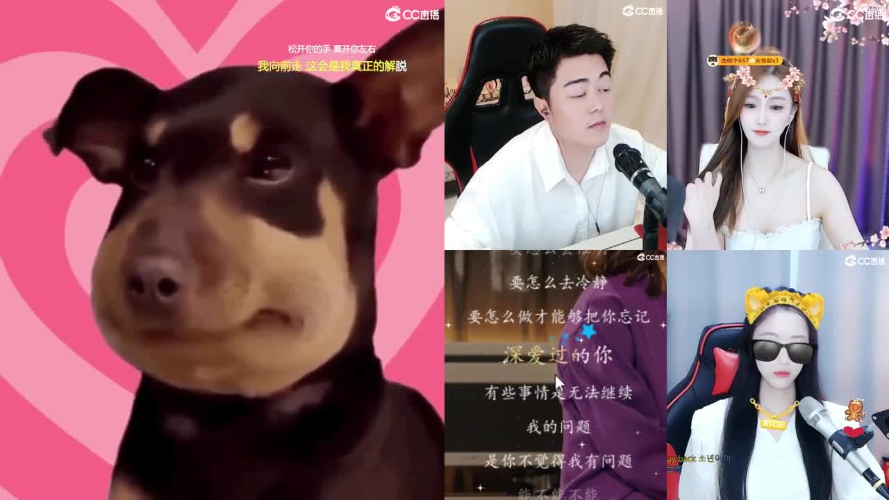 2018和2023唱歌的勇武菜猪 第7段