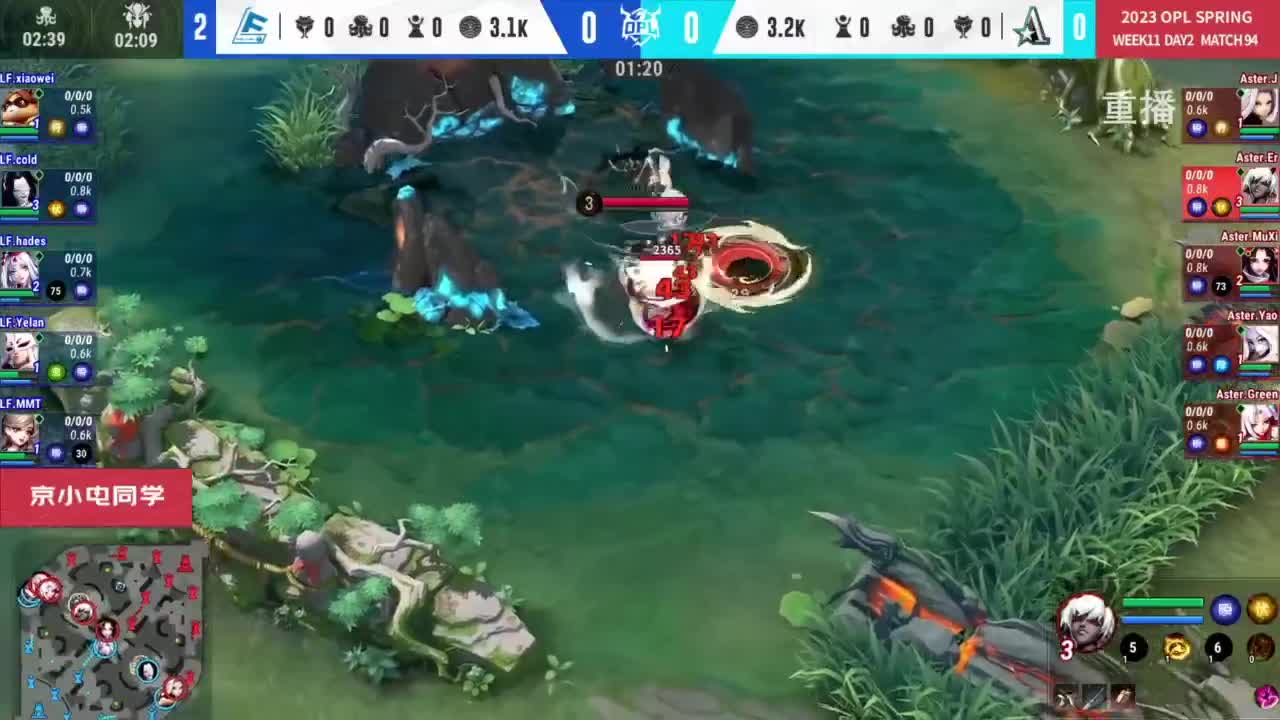 平安京OPL春季赛 第5段