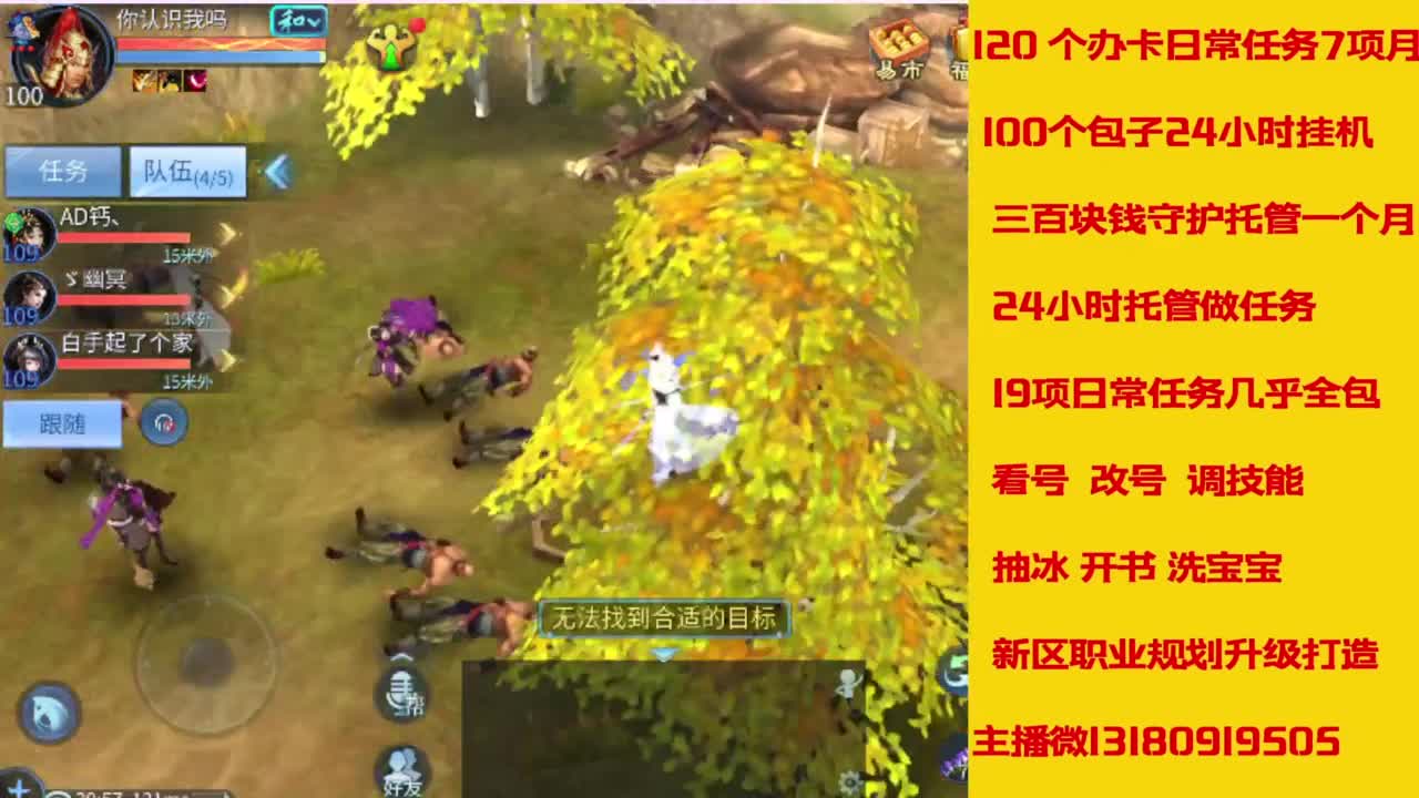 接托管，画壁  卡龙 打造 冲级 第8段