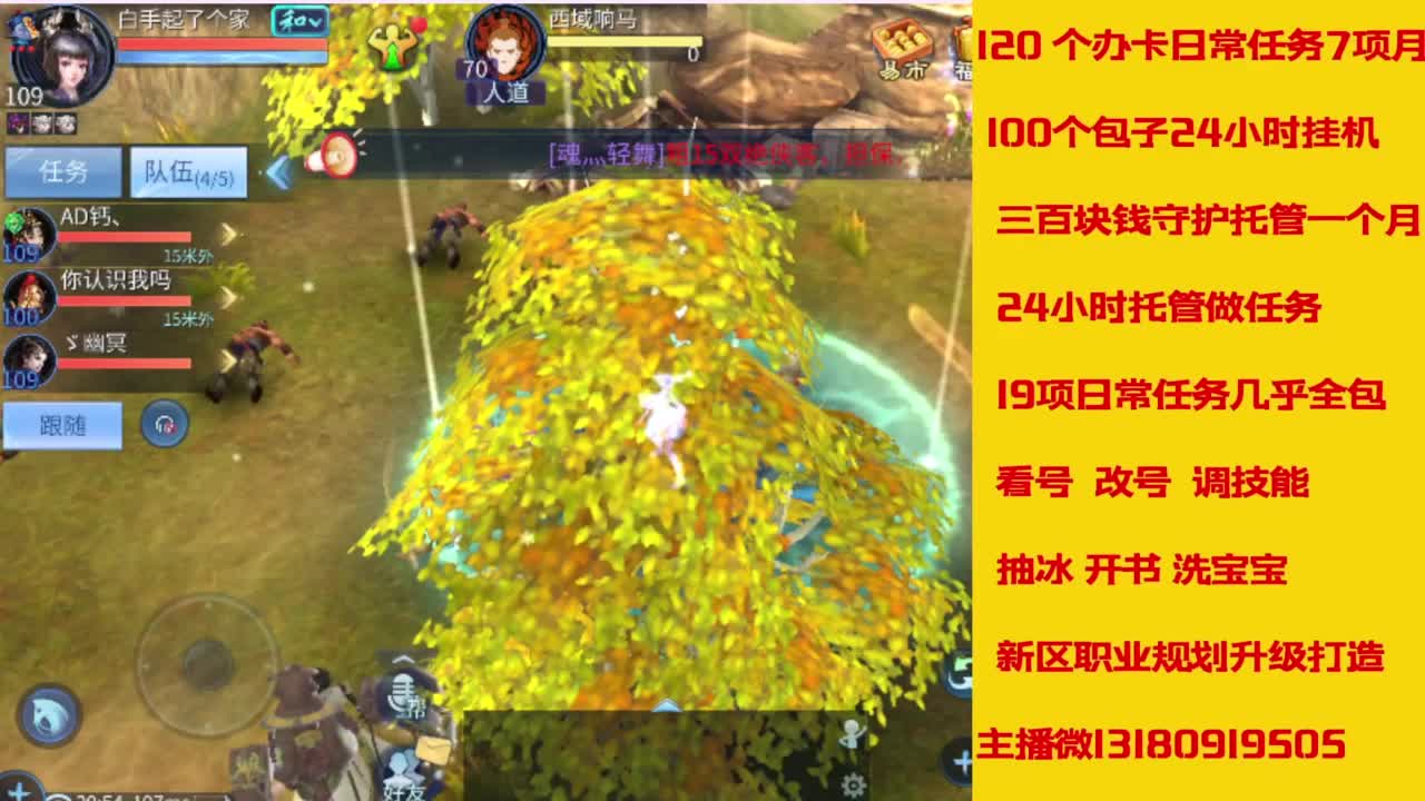 接托管，画壁  卡龙 打造 冲级 第2段
