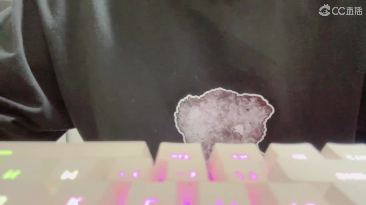 主播真没找借口摸鱼 第2段