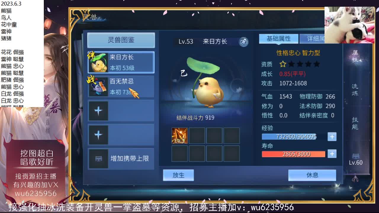 晚上好~ 第3段