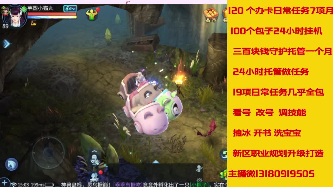 接托管，画壁  卡龙 打造 冲级 第2段