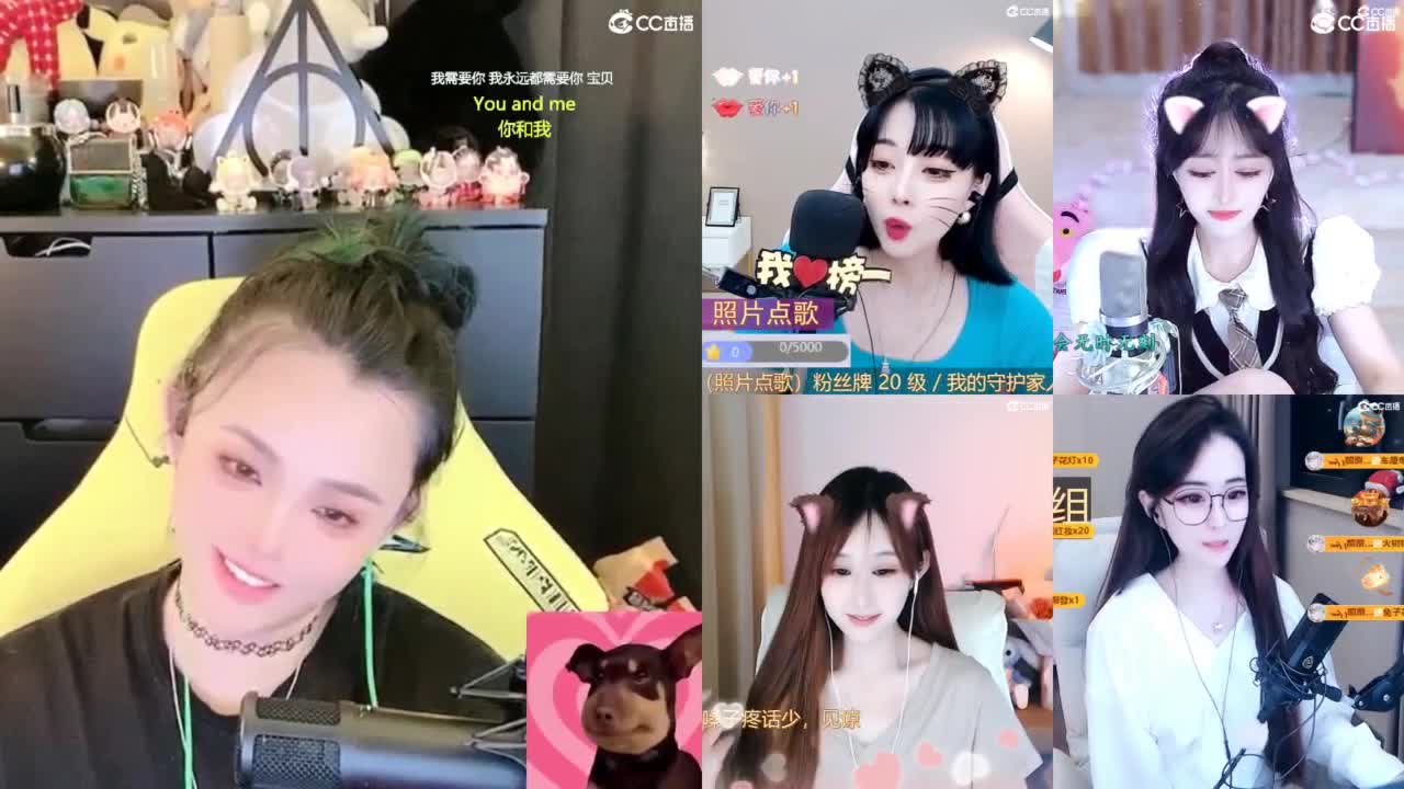 2018唱歌的勇武菜猪 第5段