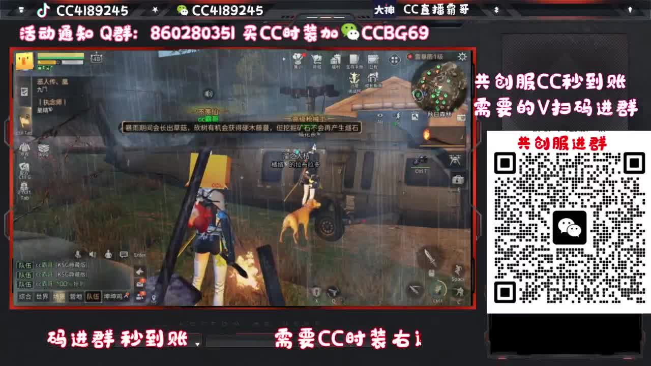 共创服CC时装特价 第2段
