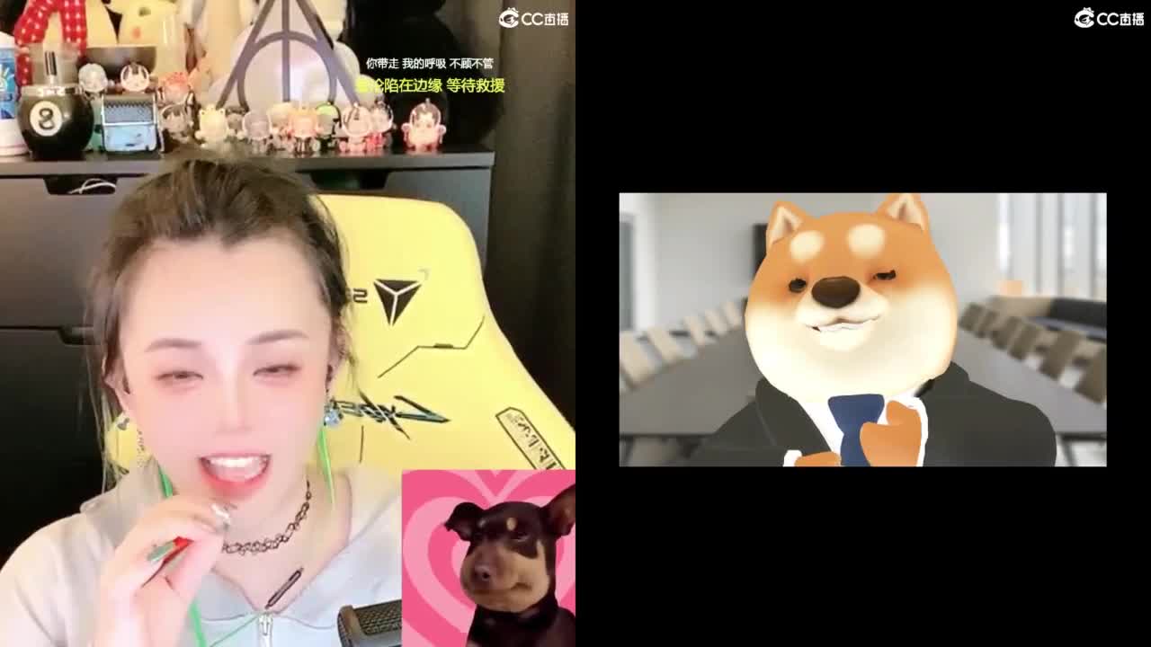 2018唱歌的勇武菜猪 第12段