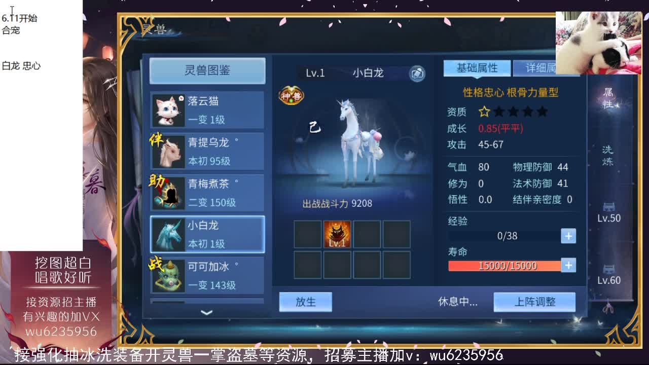 晚上好，需要弄什么请联系~ 第3段