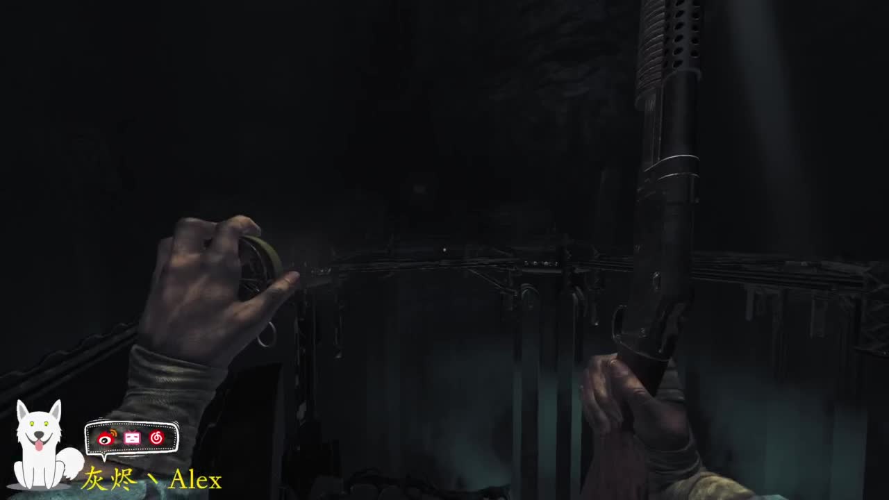 每天快乐多一丶 第11段