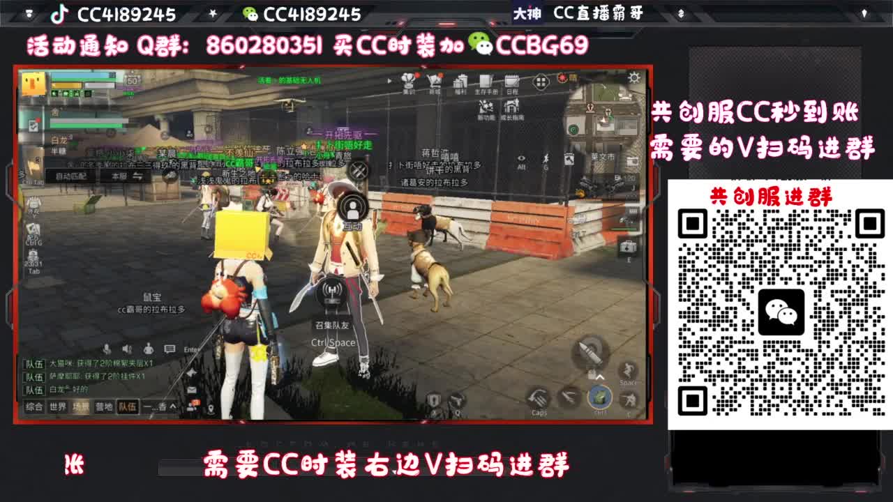 共创服CC时装特价 第7段