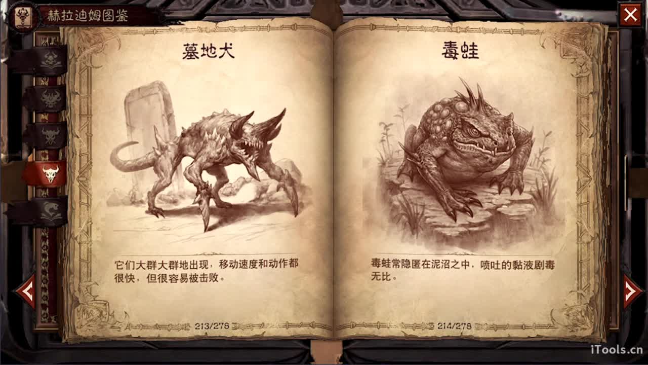 才艺主播了解一下 第4段