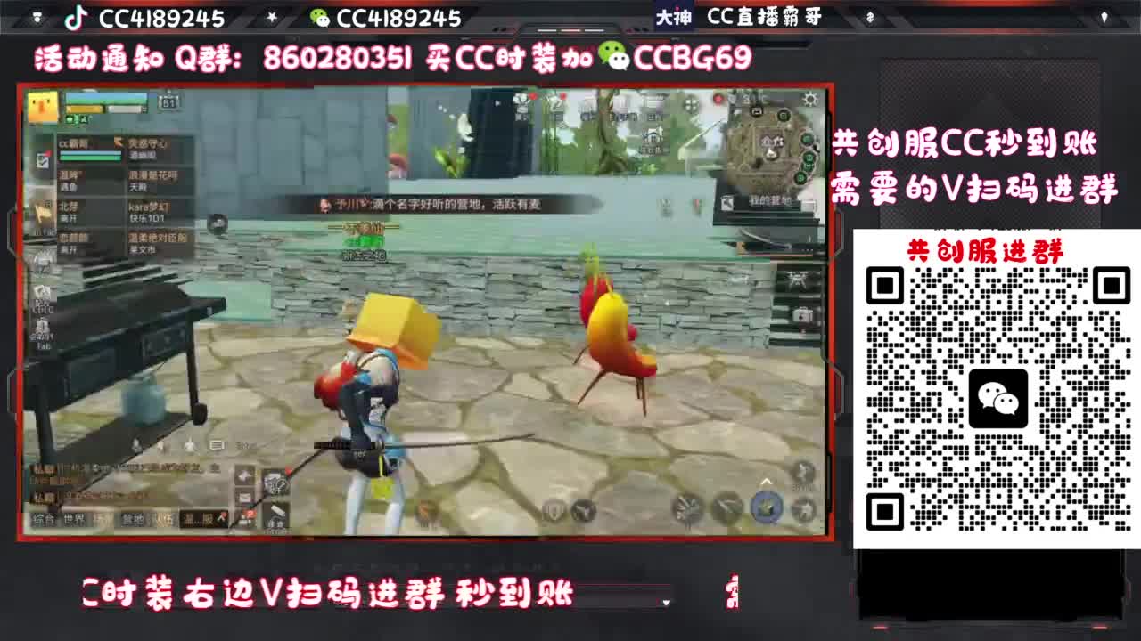 共创服CC时装特价 第7段