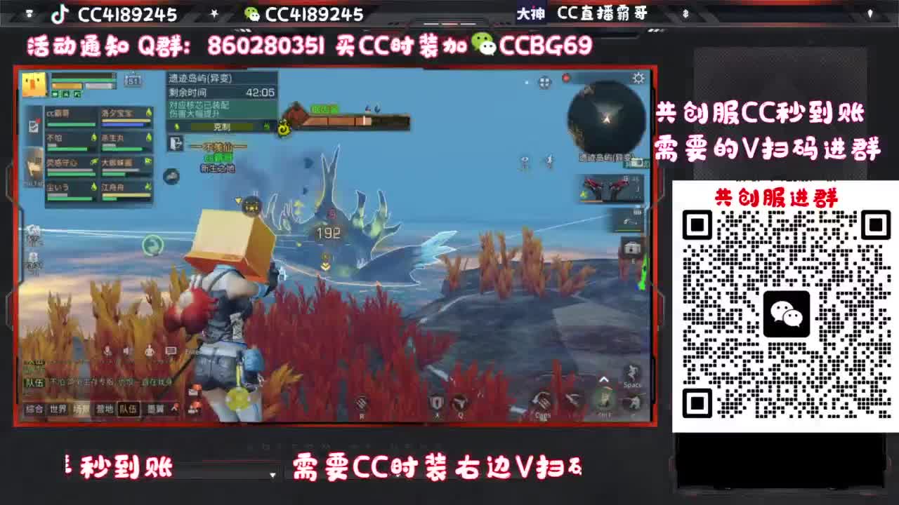 共创服CC时装特价 第8段