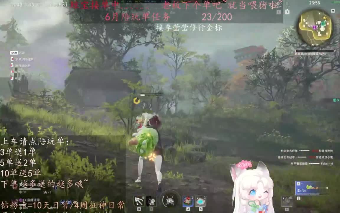 老板来下个单吖~征神排位都可~ 第11段