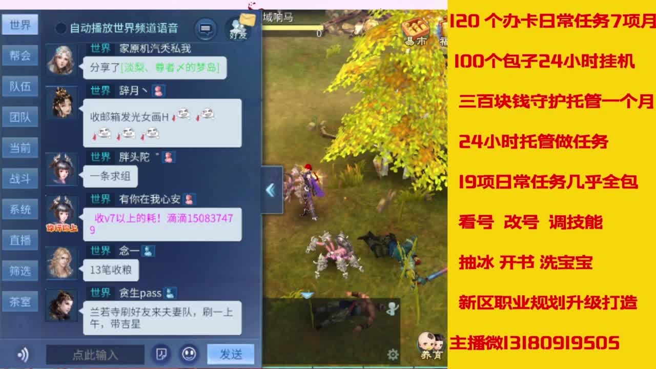 接托管，画壁  卡龙 打造 冲级 第9段