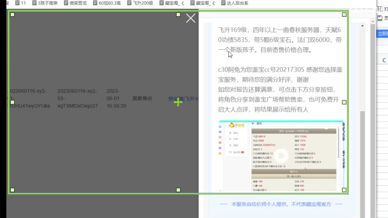 估价配装专业细心的主播 第5段