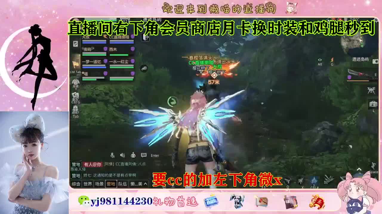 共创可发全套cc 第2段