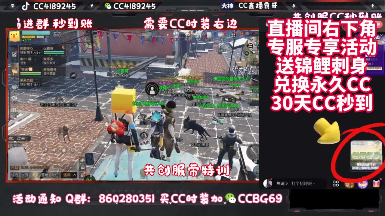 共创服CC时装秒到 第11段
