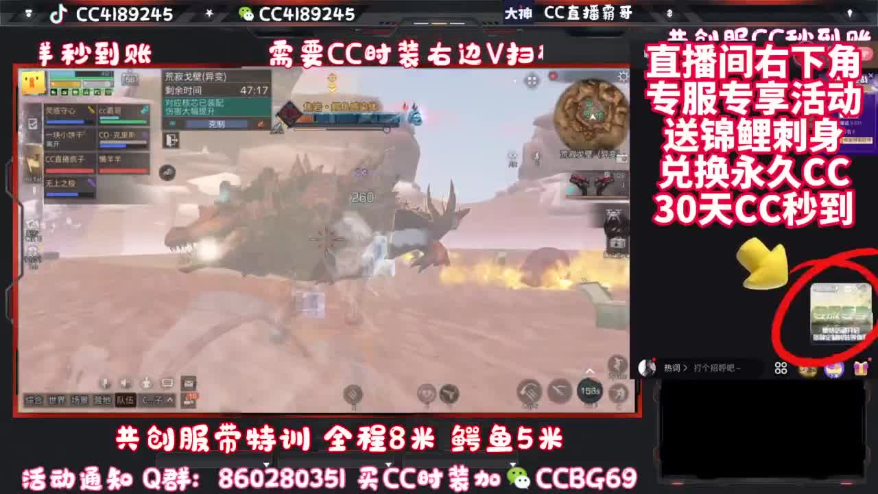 共创服CC时装秒到 第11段