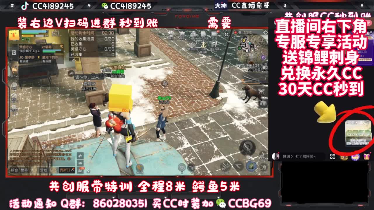 共创服CC时装秒到 第12段