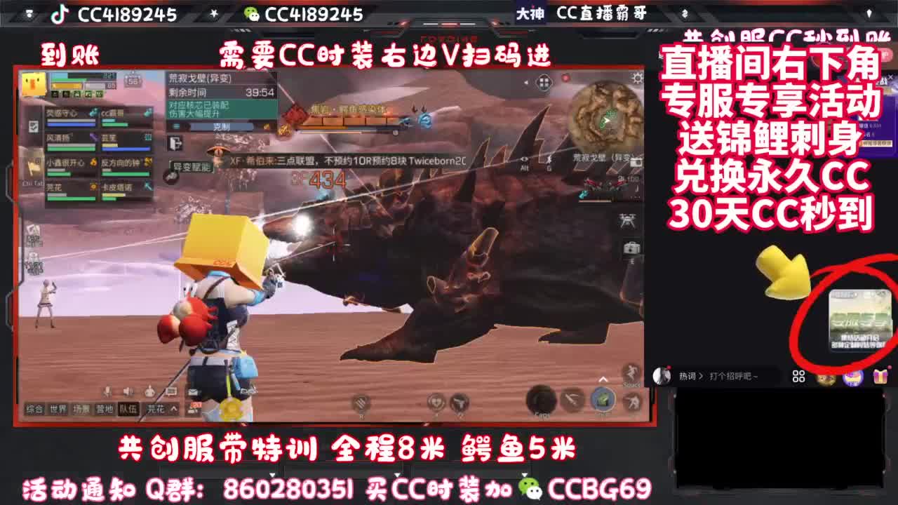 共创服CC时装秒到 第8段