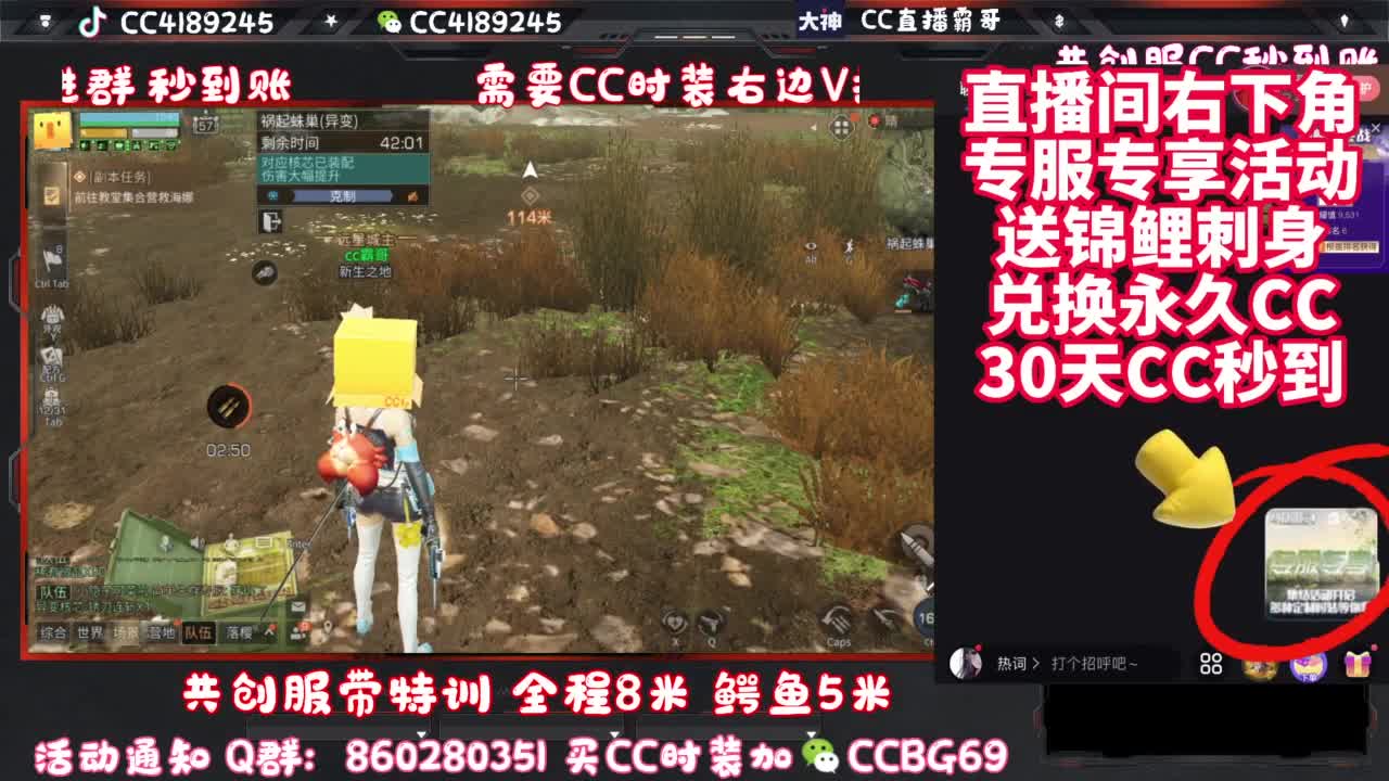 共创服CC时装秒到 第6段