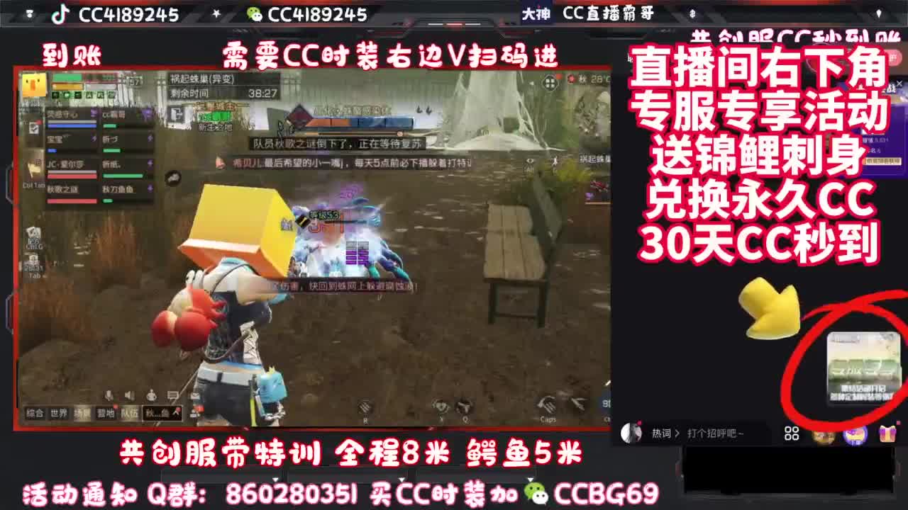共创服CC时装秒到 第9段