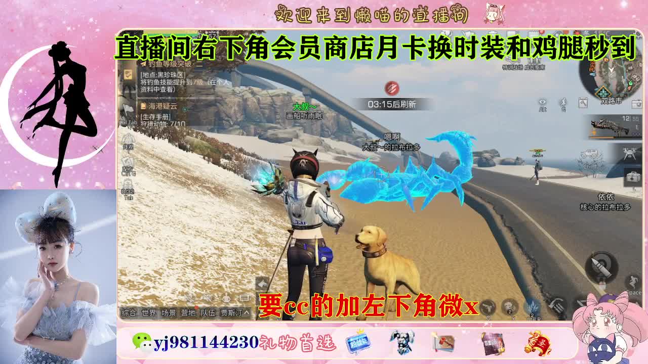 共创可发全套cc 第4段