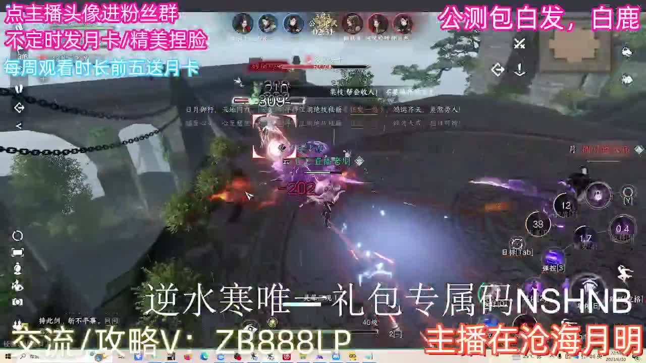 内测十大高手在榜，第一九灵 第8段