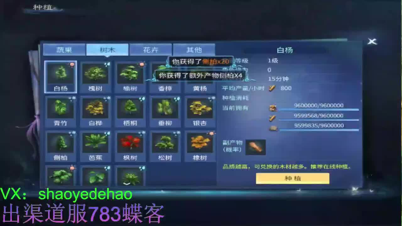 接托管 天门山 比武 合背饰 打造细节！ 第2段