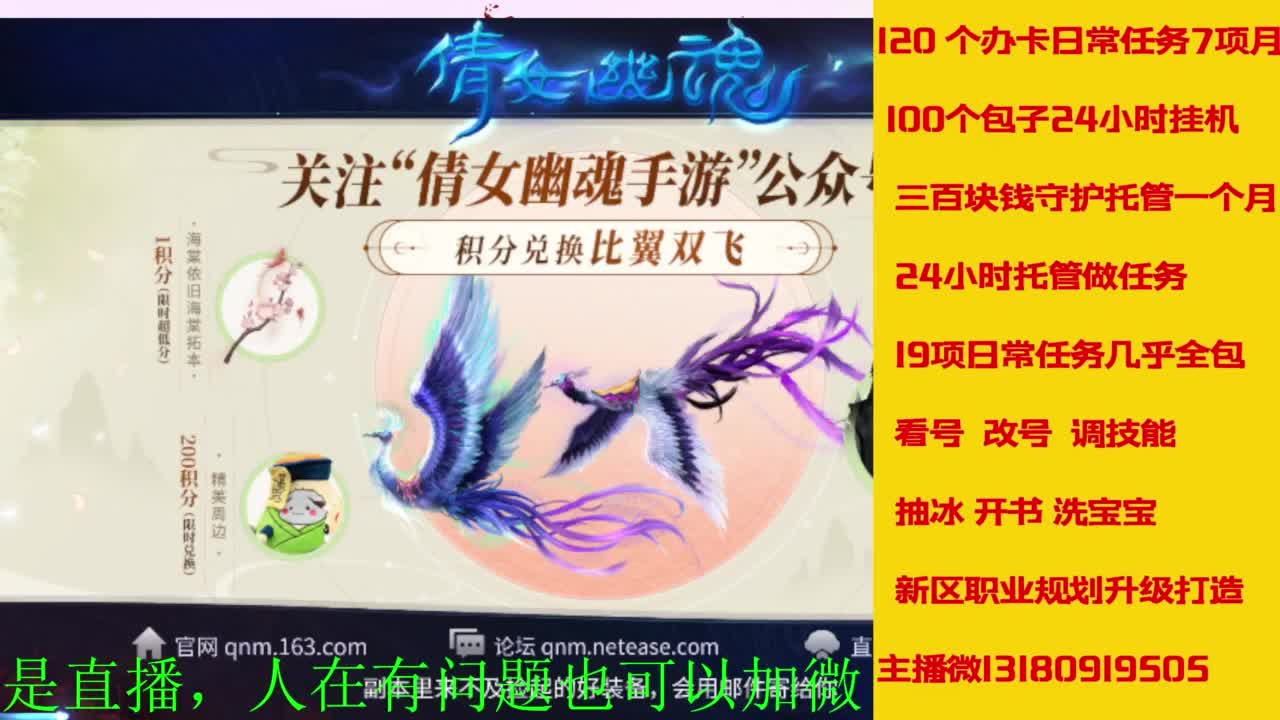 日常托管 周末活动  升级卡龙 第12段