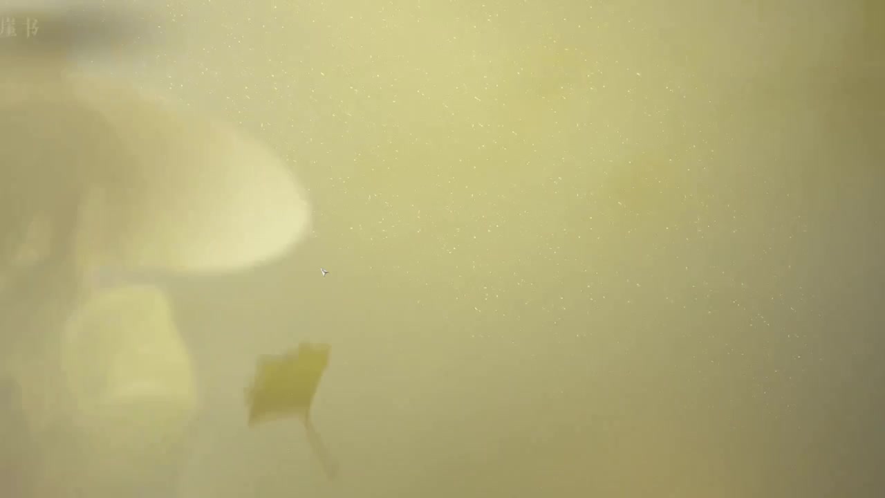 接探索 接个全托 第7段