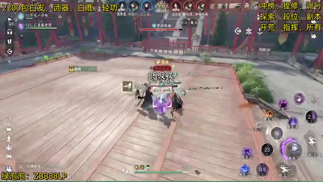 内测十大高手在榜，第一九灵 第1段