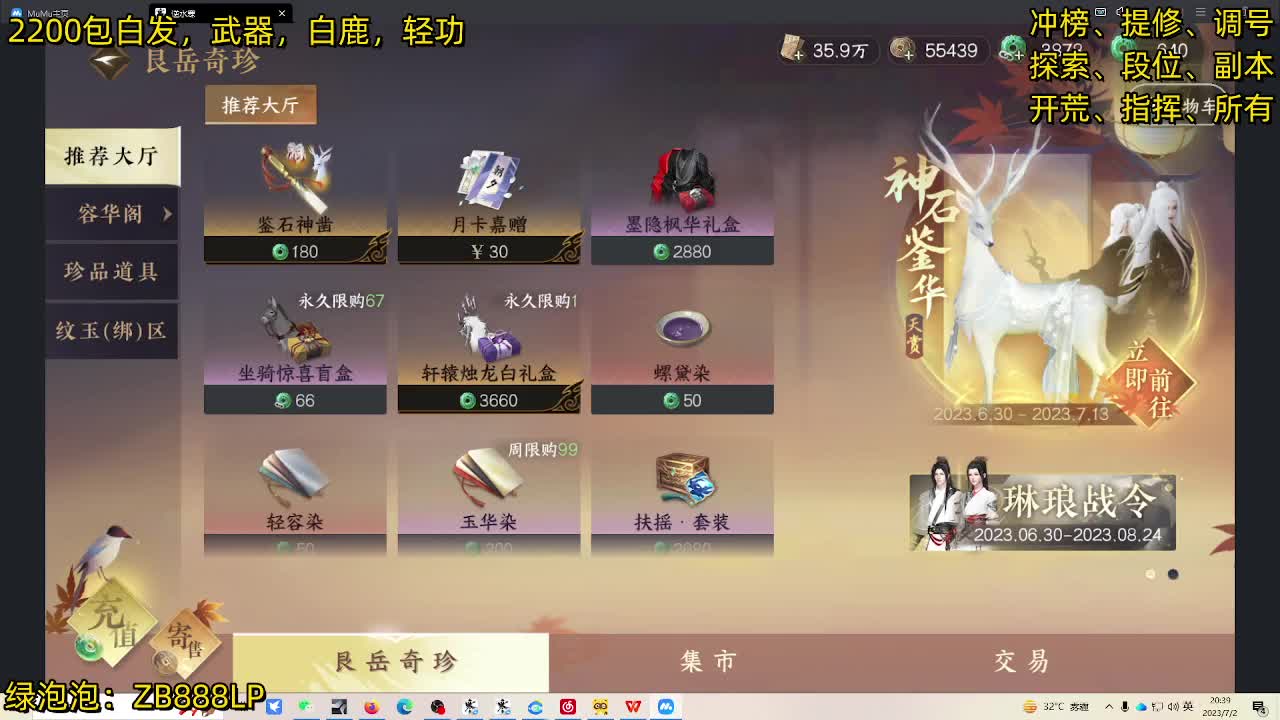 内测十大高手在榜，第一九灵 第4段