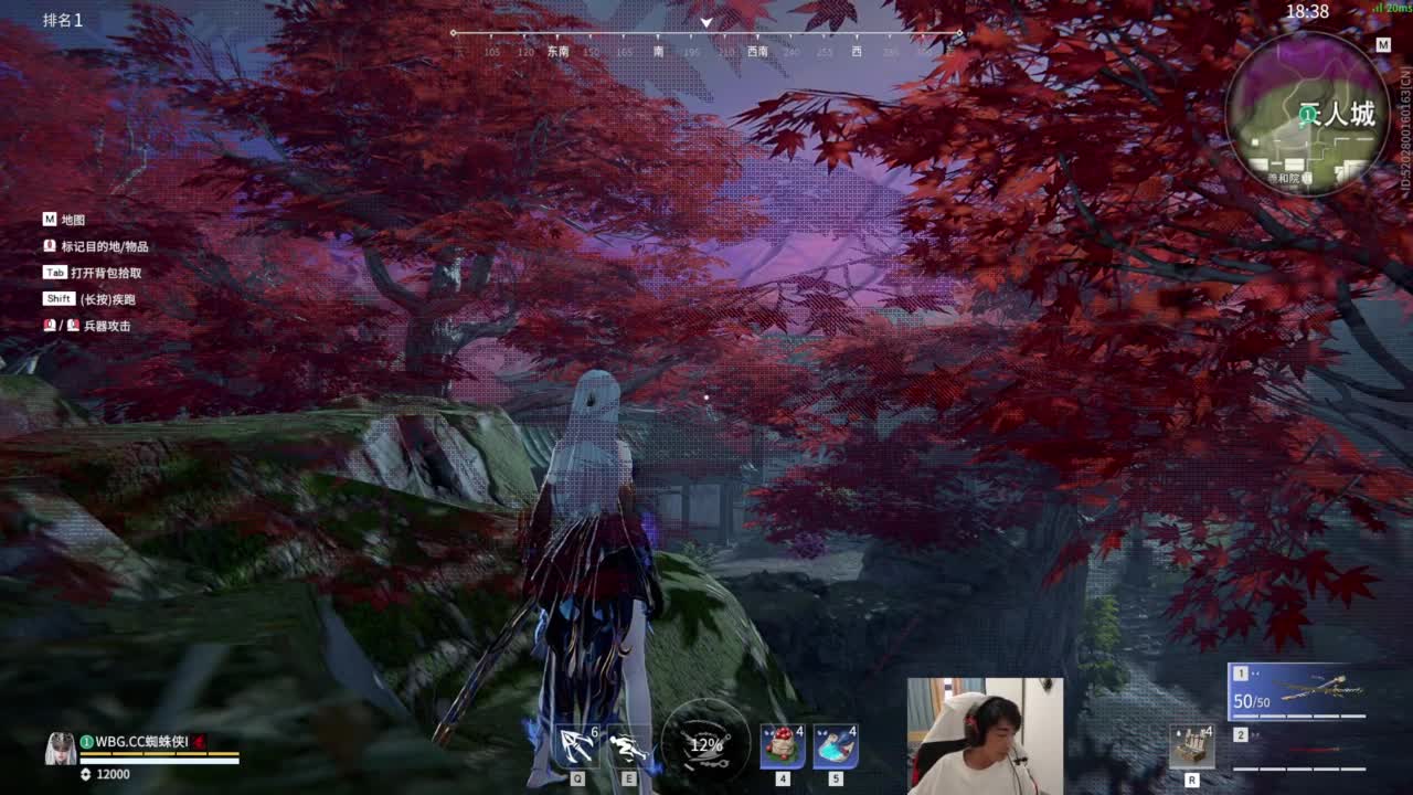 看看锦鲤杯A组 第1段